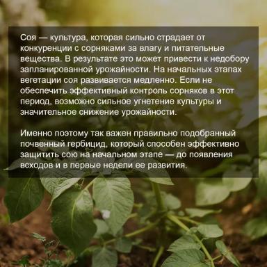🌱 Продолжаем заботиться о будущем урожае сои.
