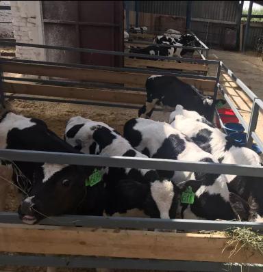 Использование поведенческих инстинктов животных в технологиях содержания