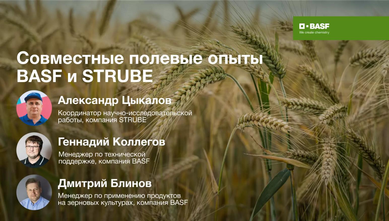 Совместные полевые опыты BASF и STRUBE