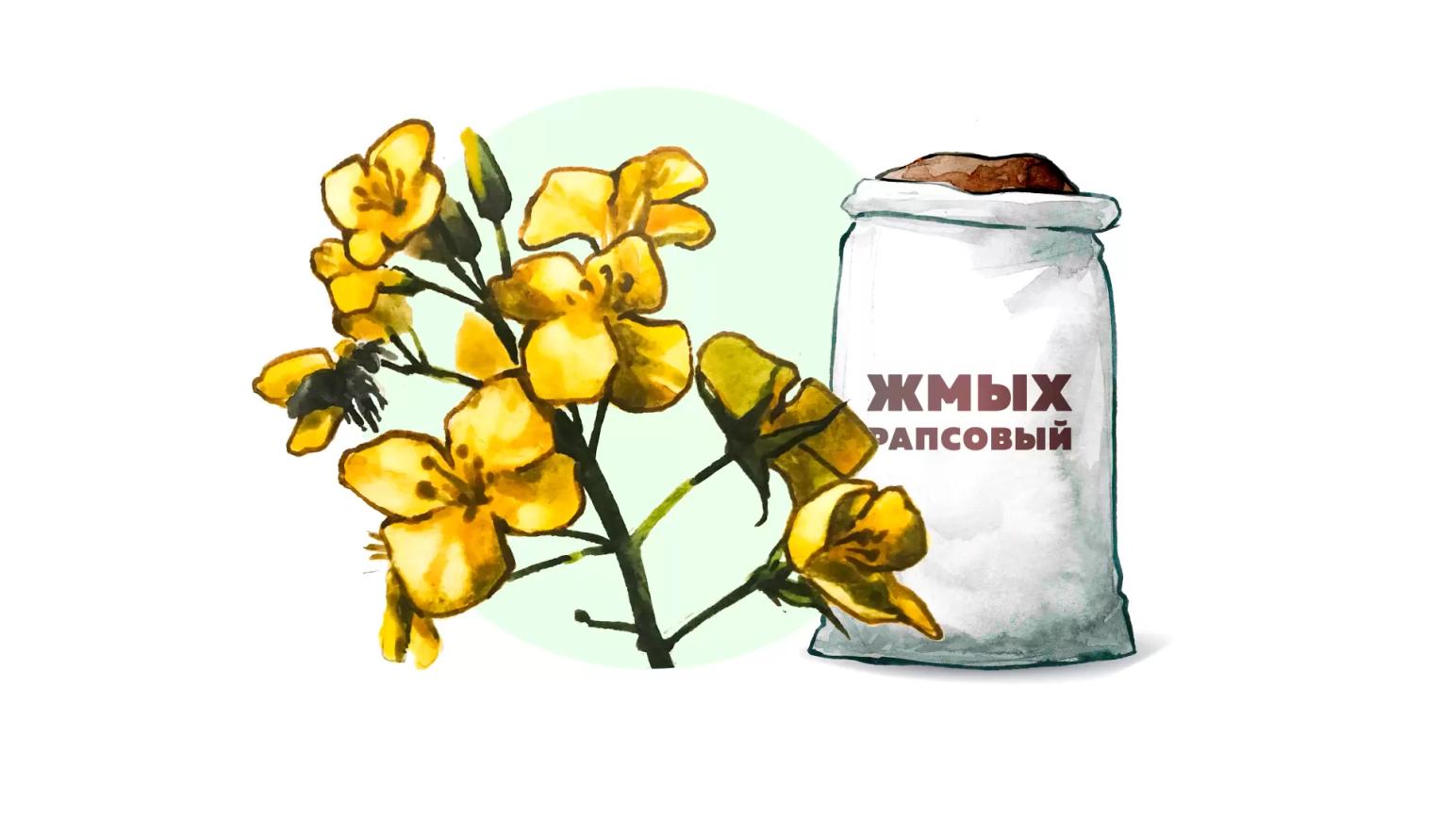 Жмых рапсовый