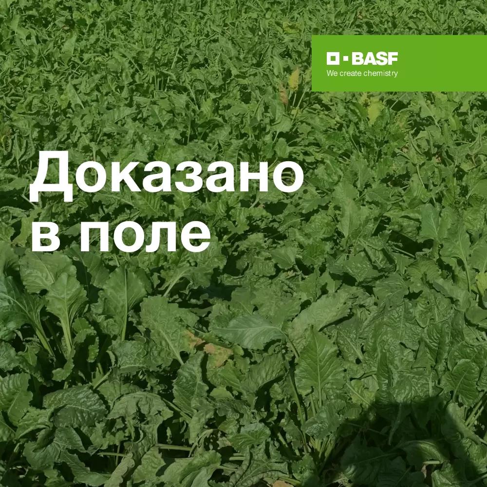 Доказано в поле
