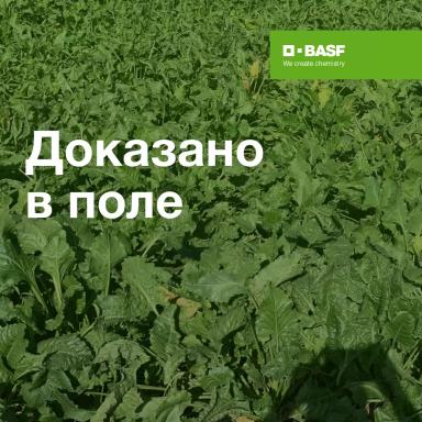 Доказано в поле