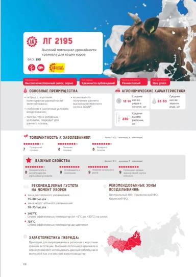 ЛГ 2195 гибрид кукурузы Лимагрейн