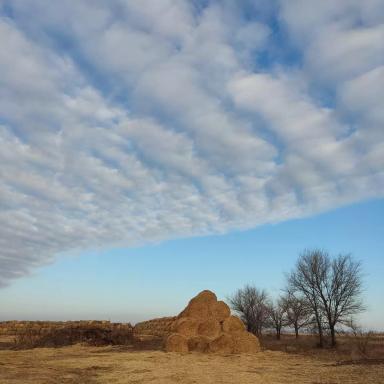 Экскурсии по сельским территориям