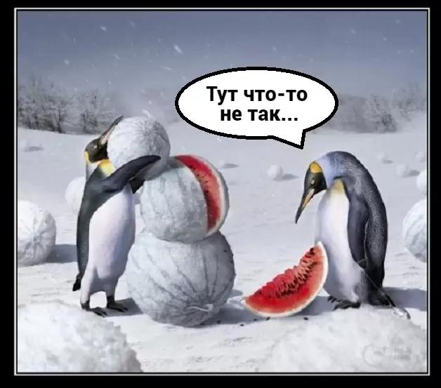 Российские полярники будут  выращивать арбузы в Антарктиде.