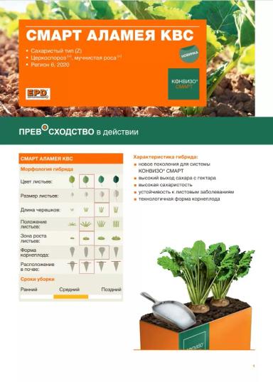 Смарт Аламея КВС (SMART ALAMEA KWS)