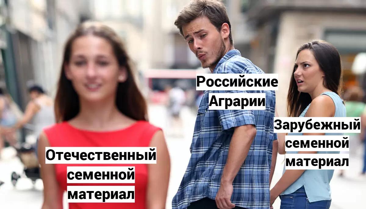 Доля отечественных семян на российском рынке достигла 60%