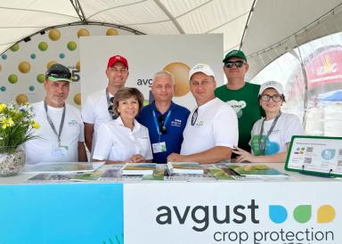 День Донского поля