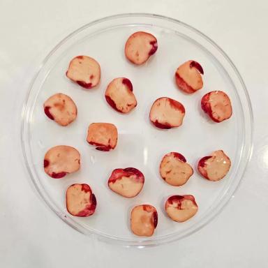 Оценка жизнеспособности семян