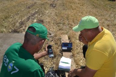 Пшеница завершила дистанцию на орошении и богаре на Агрополигоне "Приволжье"