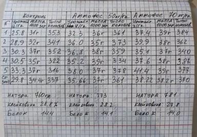 Последействие аммофоса на второй год после внесения