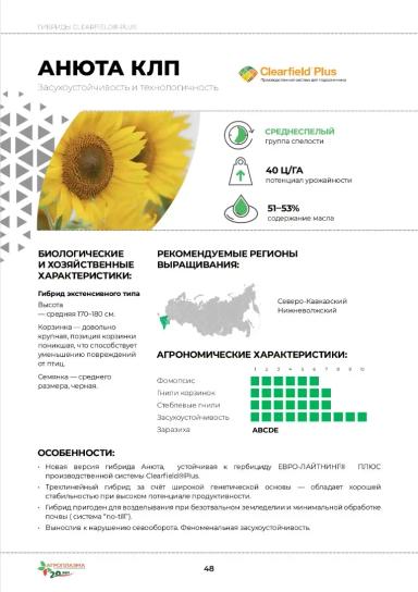 Анюта КЛП гибрид подсолнечника