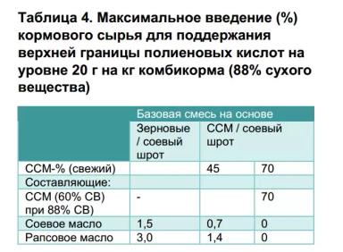 Кормление свиней рационами с кукурузой