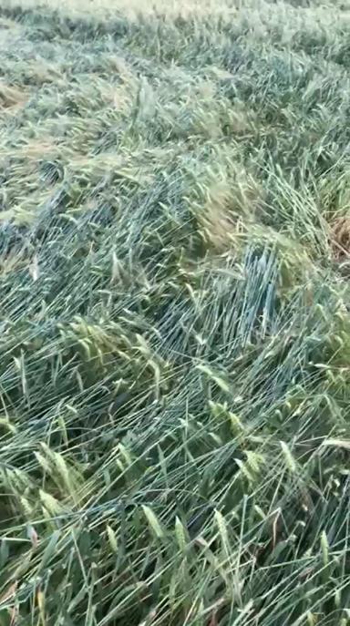 Вопросы из чатов: будут ли потери?