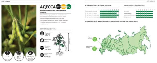 Адесса (ADESSA)  сорт сои