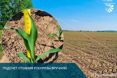 Высокоточный подсчет густоты стояния и высоты растений с помощью беспилотника