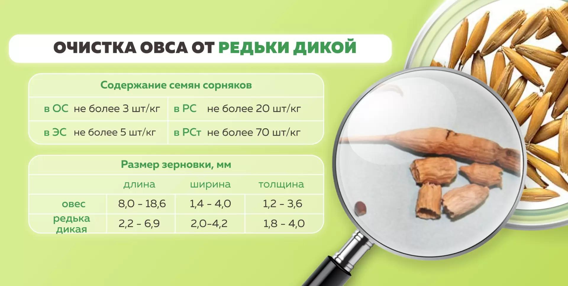Очистка овса от дикой редьки
