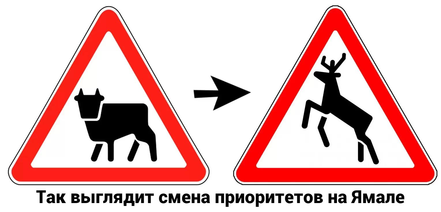 Дорожные знаки с изображением коровы меняют на Ямале на знаки с оленями
