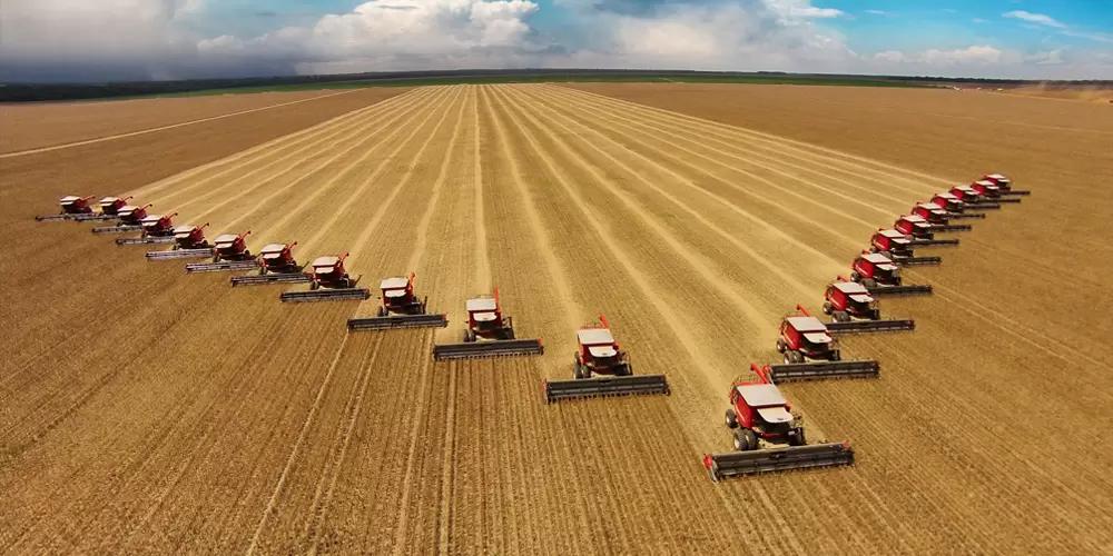 Путин призвал обеспечить прибыль в сфере АПК и проконтролировать экспорт