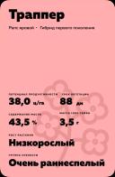 Траппер (TRAPPER) гибрид рапса ярового