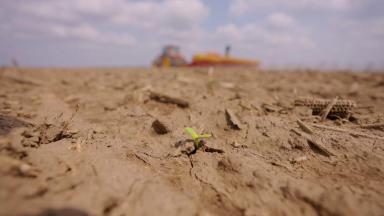 Оптимизация участков гибридизации при выращивании семенного материала c Trimble