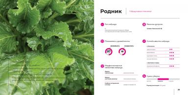 Родник гибрид сахарной свеклы