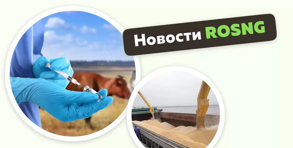 Обзор новостей за 26 февраля