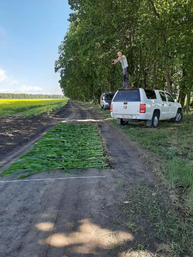 Вести с полей