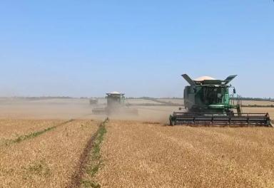 ПОЗДРАВЛЯЕМ С НАЧАЛОМ УБОРКИ ГОРОХА