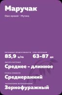 Маручак сорт овса ярового