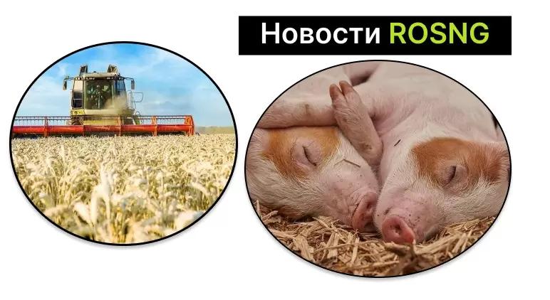 Дайджест новостей за 29 июня