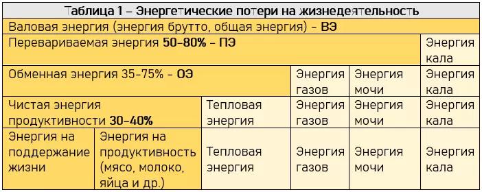 Энергетическая оценка кормов