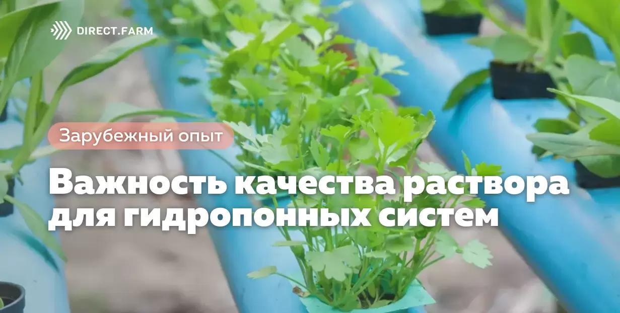 Важность качества раствора для гидропонных систем