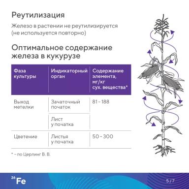 «Элементарно об элементах!»: железо
