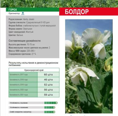 Болдор (BOLDOR)