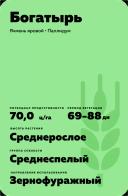 Богатырь сорт ячменя ярового