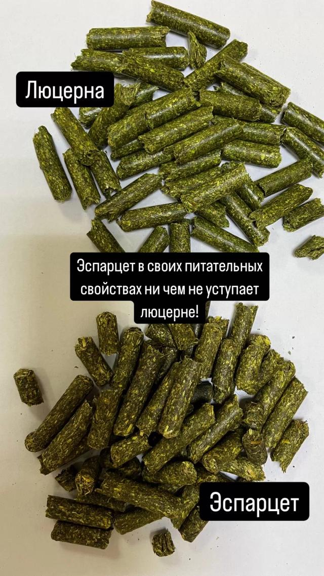 Производитель  Травяная гранула из Эспарцета  Принимаем заявки на 2026 год 20