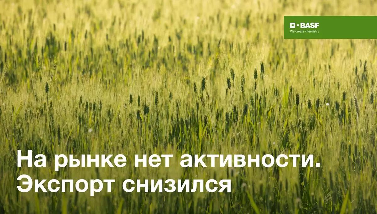 На рынке нет активности. Экспорт снизился.