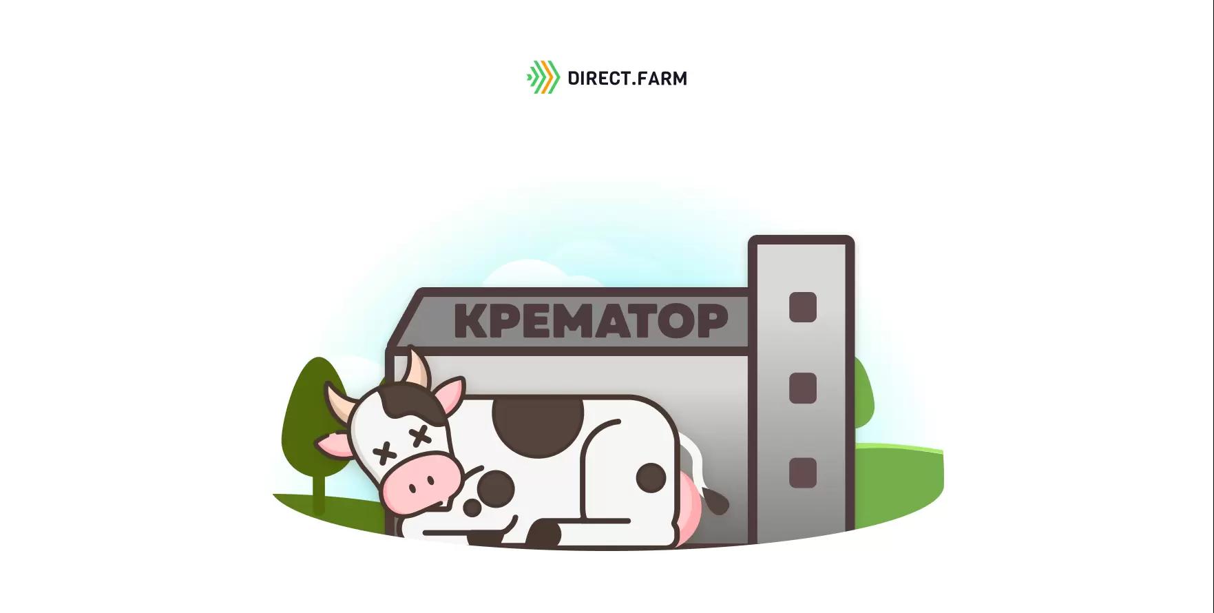 Как безопасно и легально утилизировать туши павшего скота?