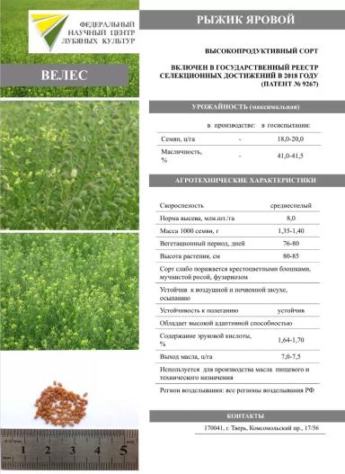 ВЕЛЕС
