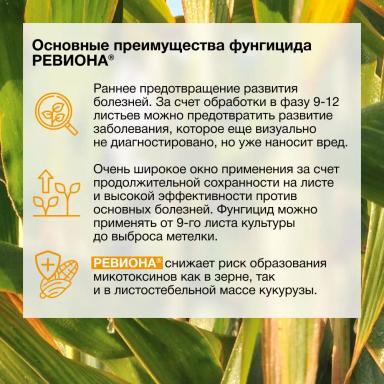 Первые результаты применения фунгицида РЕВИОНА®