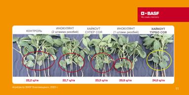 ХАЙКОУТ® ТУРБО СОЯ — турборежим питания и защиты сои