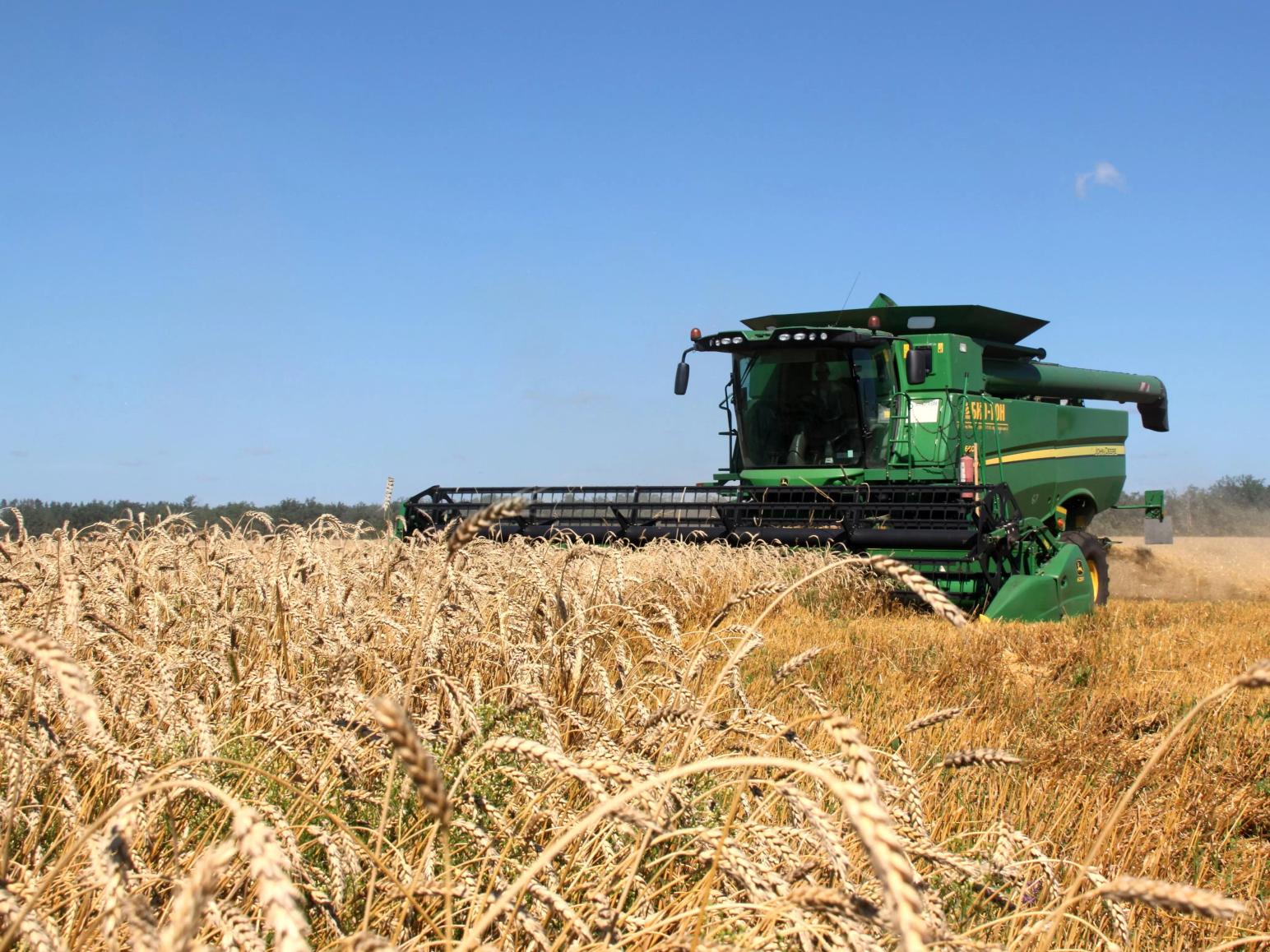 Потери колосьев за жаткой: в чем причина?