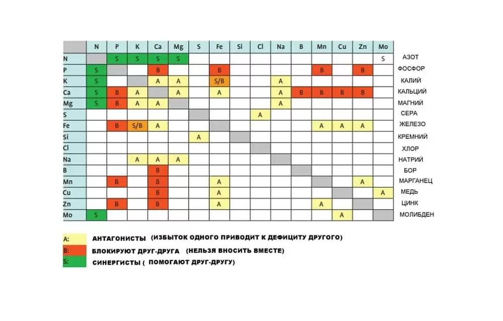 Синергизм и антагонизм химических элементов