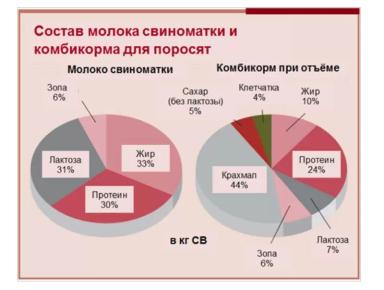 Кормление поросят: высокая перевариваемость и приятный вкус. Часть 1