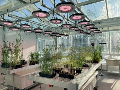 Агроблогеры посетили НИЦ «Августа» в Черноголовке