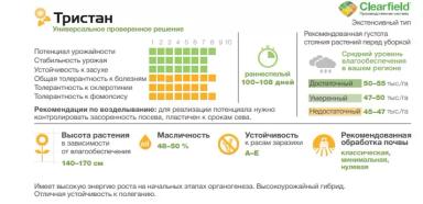 Тристан  - гибрид подсолнечника (  Helianthus annuus L.).