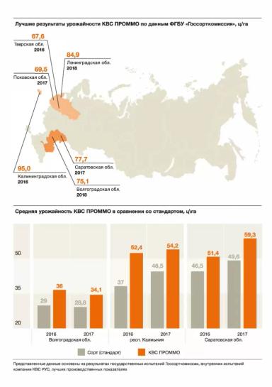 КВС Проммо (KWS PROMMO)
