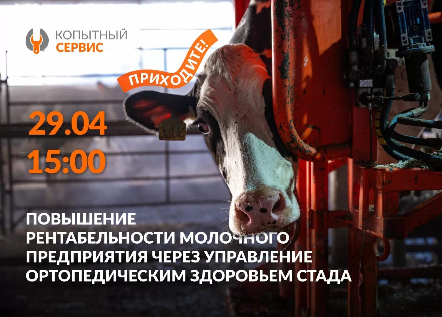 Вы знаете, сколько денег ваша ферма теряет каждый день из-за хромоты?