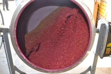 Протравливание семян яровых на Агрополигоне «Приволжье»